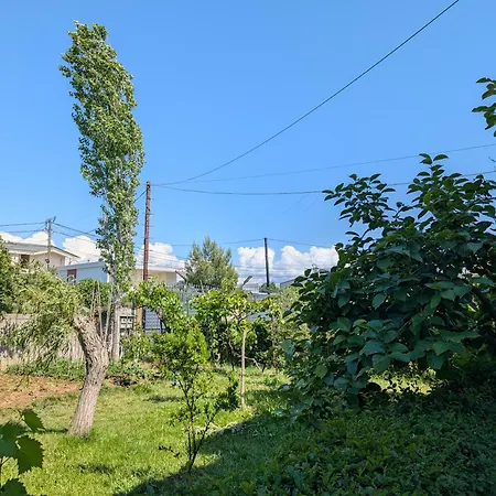 7 * Durrës
