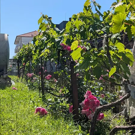 Vila 7